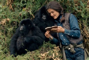 Dian Fossey: titkok a ködben I./2.