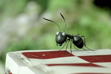 Csodabogarak - Az elveszett hangyák völgye