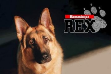 Rex felügyelő XII./2.