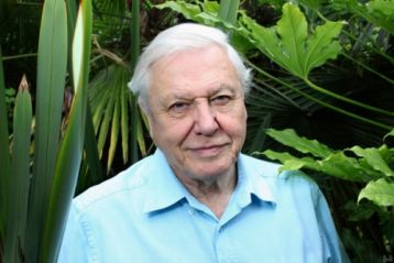 David Attenborough és az óriásdinoszaurusz